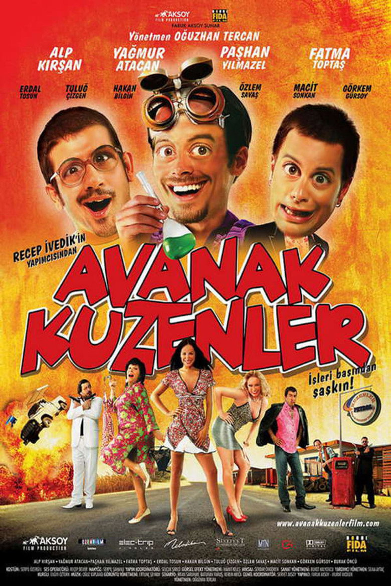 Avanak Kuzenler Film afişi
