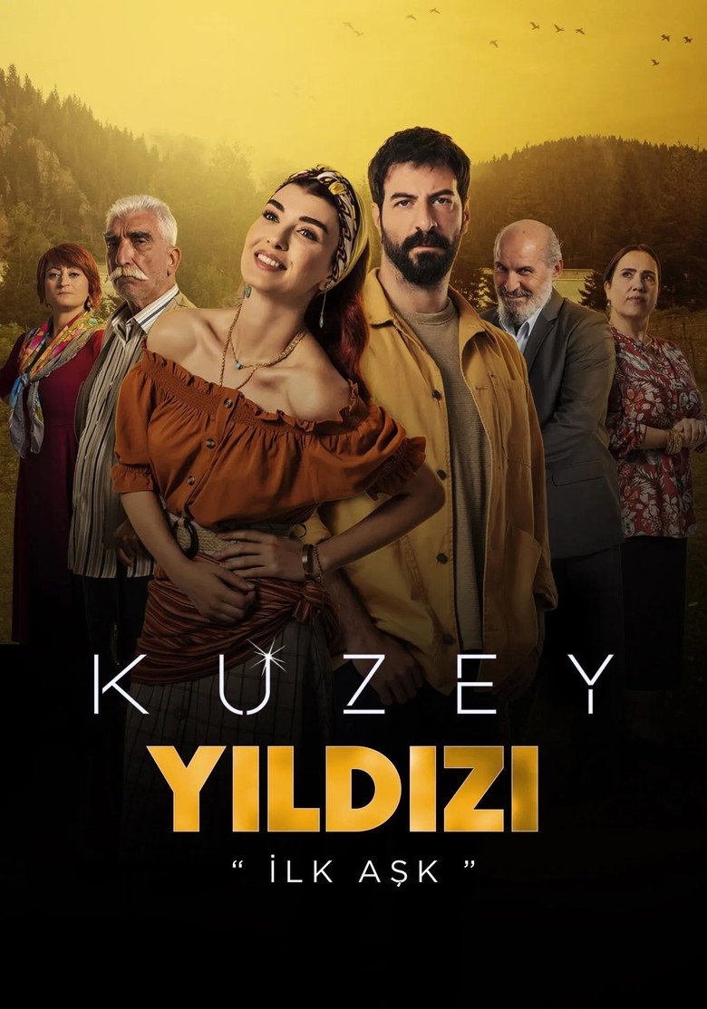 Kuzey Yıldızı: İlk Aşk Dizi afişi