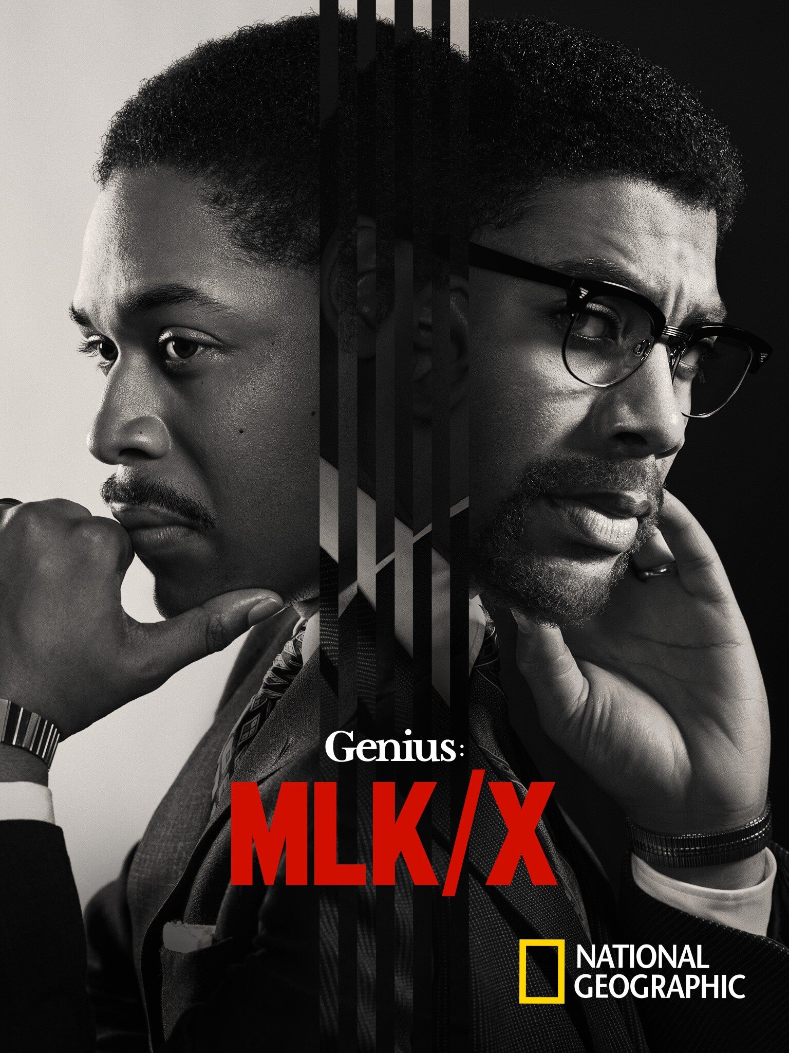 Genius Dizi afişi