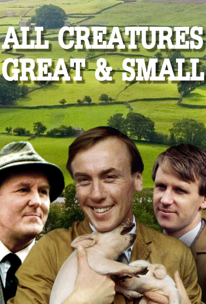 All Creatures Great and Small Dizi afişi