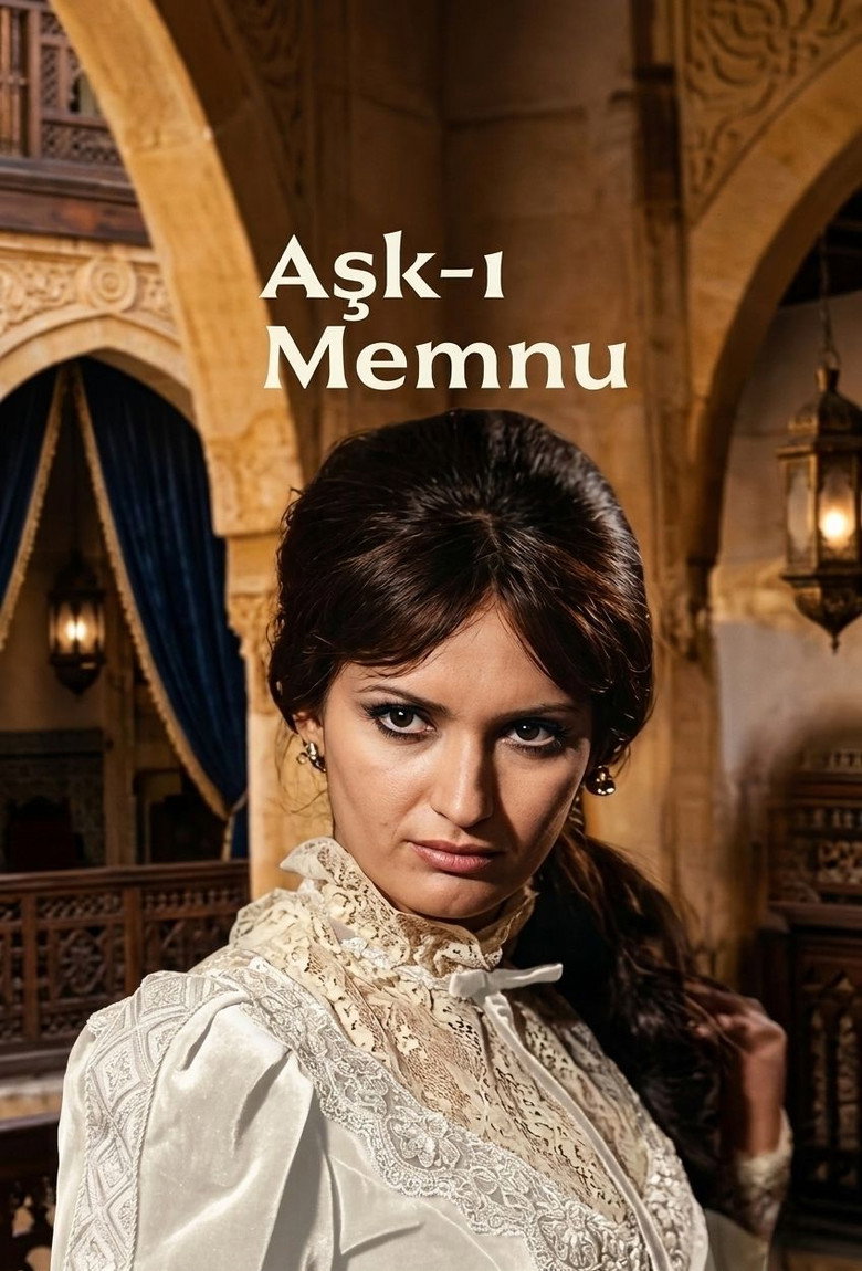 Aşk-ı Memnu Dizi afişi