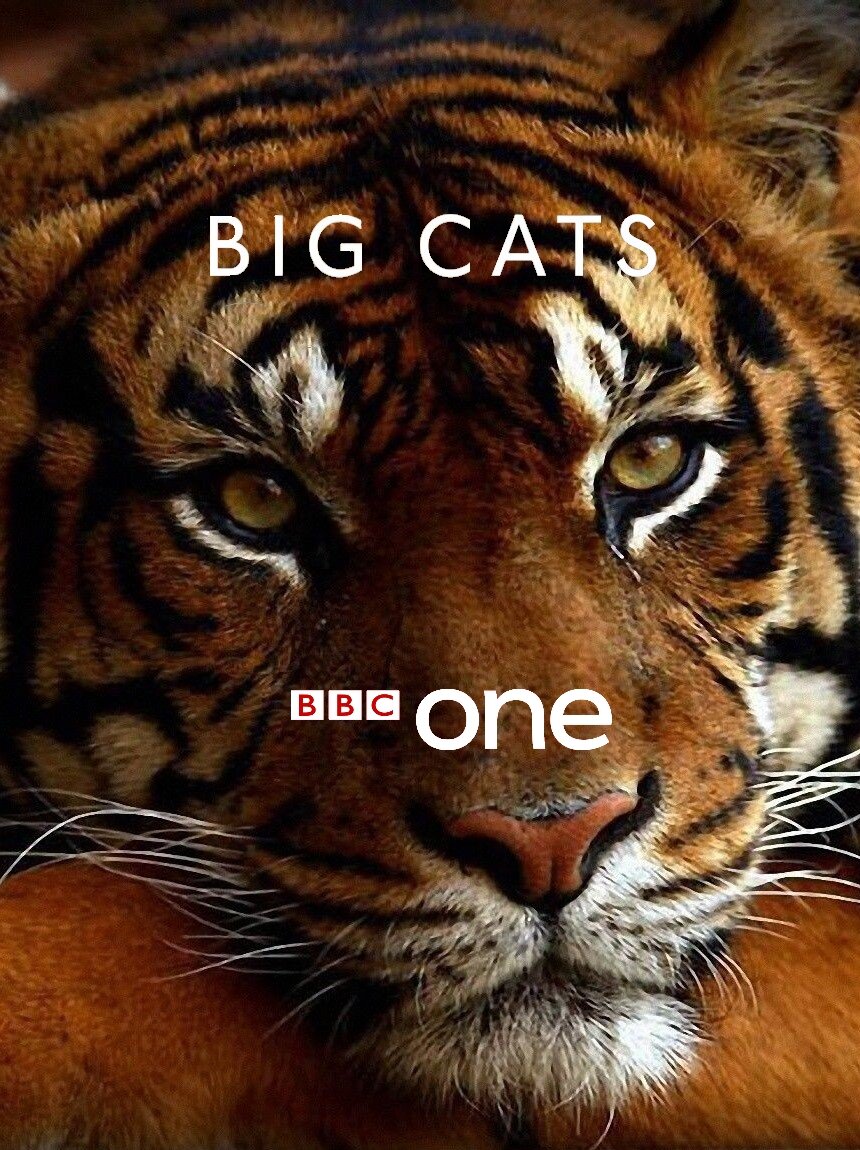 Big Cats Dizi afişi