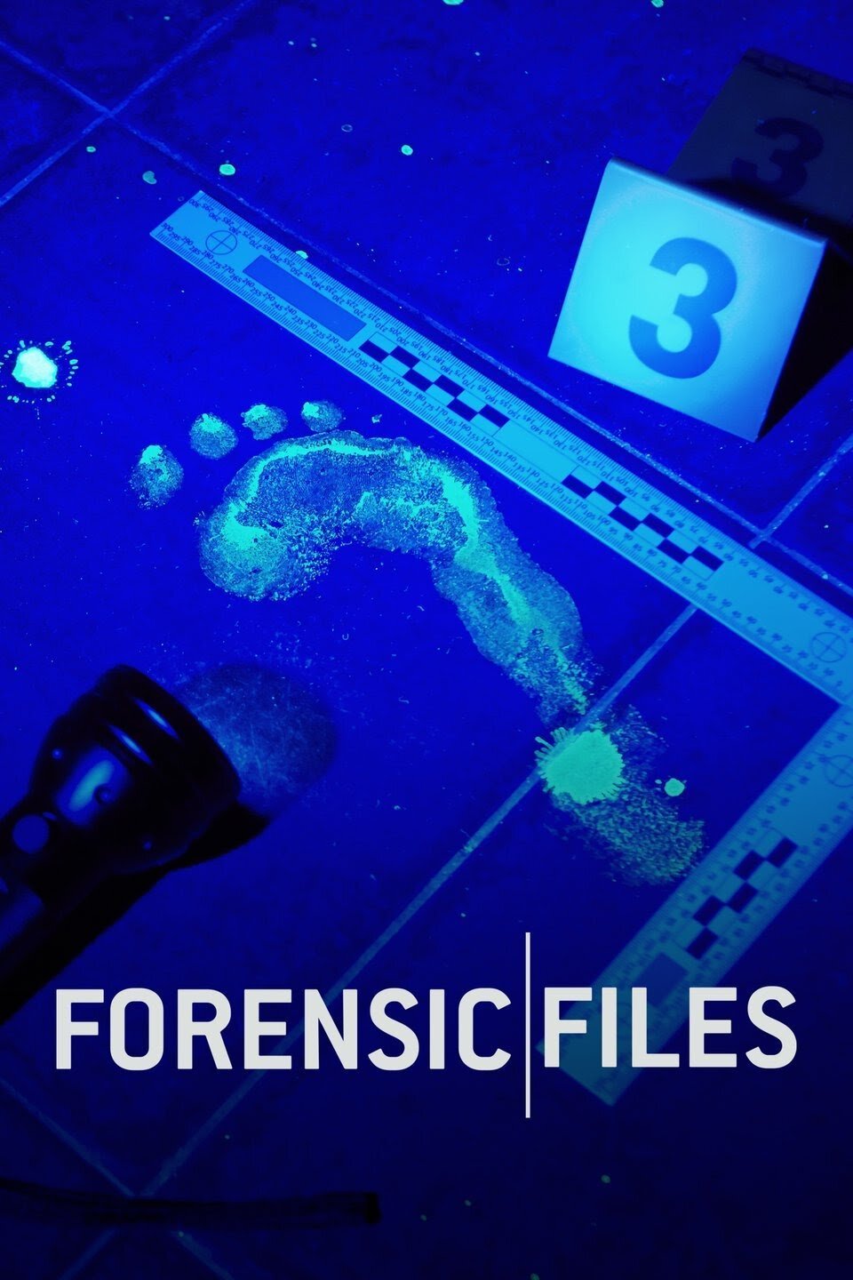 Forensic Files Dizi afişi