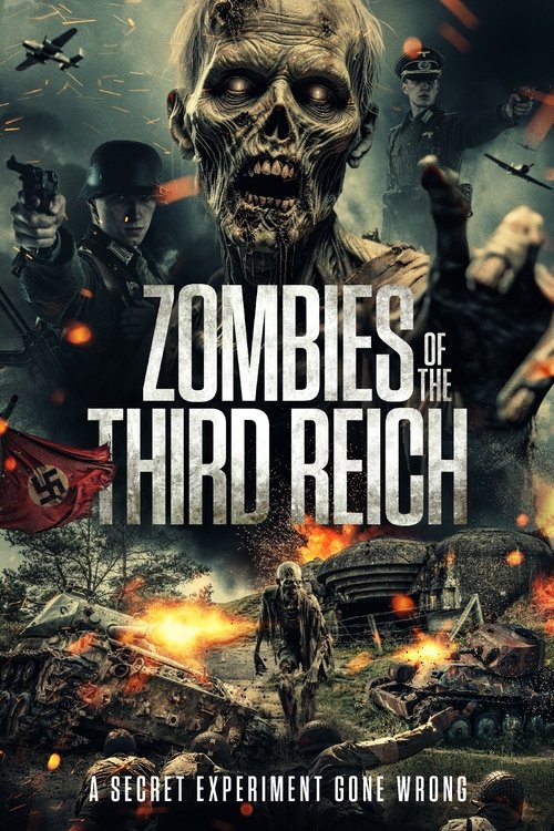 Zombies of the Third Reich Film afişi