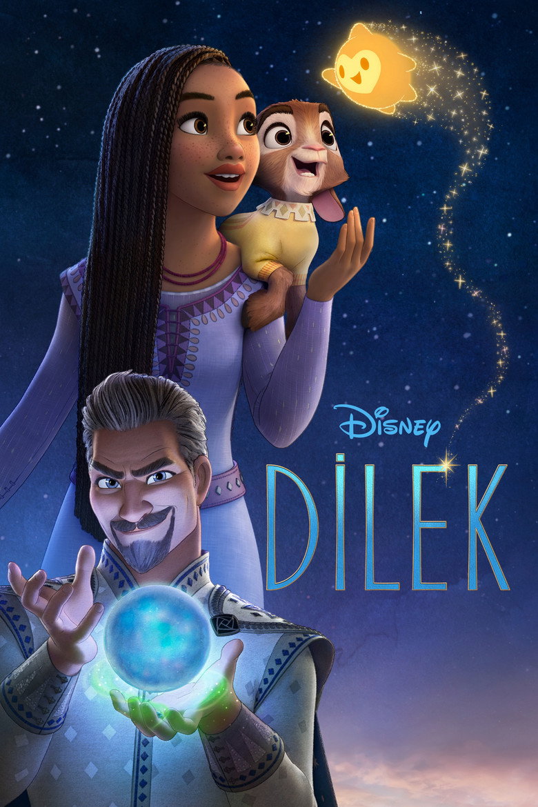 Dilek Film afişi