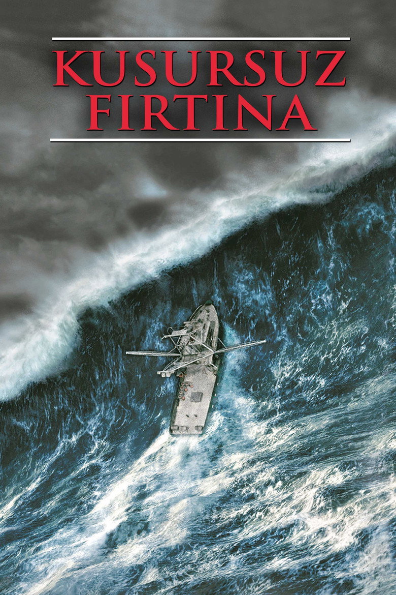 Kusursuz Fırtına Film afişi