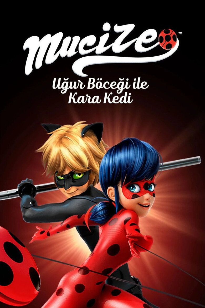 Mucize: Uğur Böceği ile Kara Kedi Dizi afişi