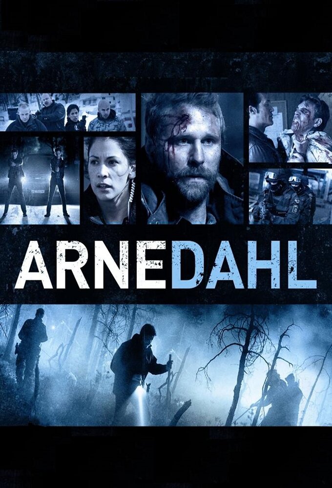 Arne Dahl Dizi afişi