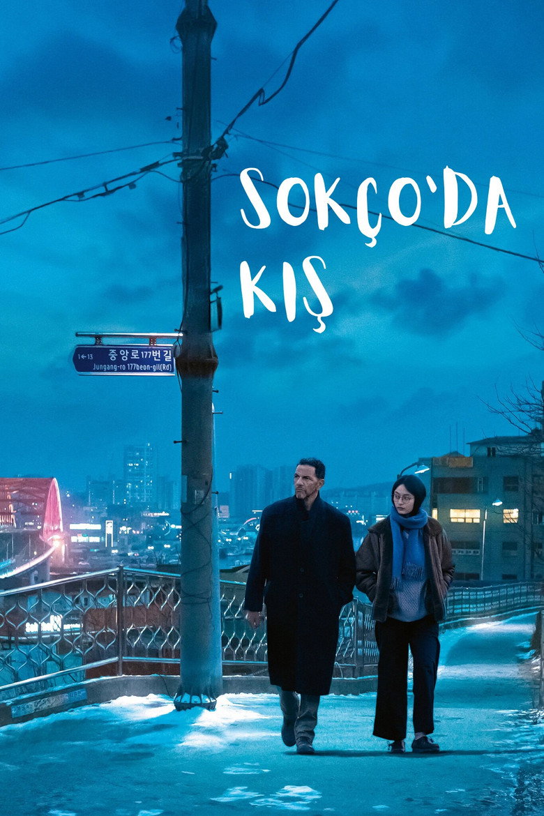 Sokço'da Kış Film afişi