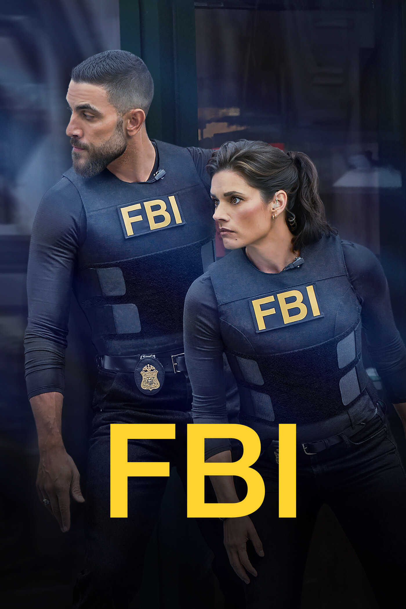 FBI Dizi afişi