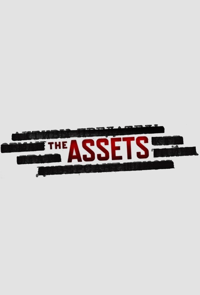 The Assets Dizi afişi