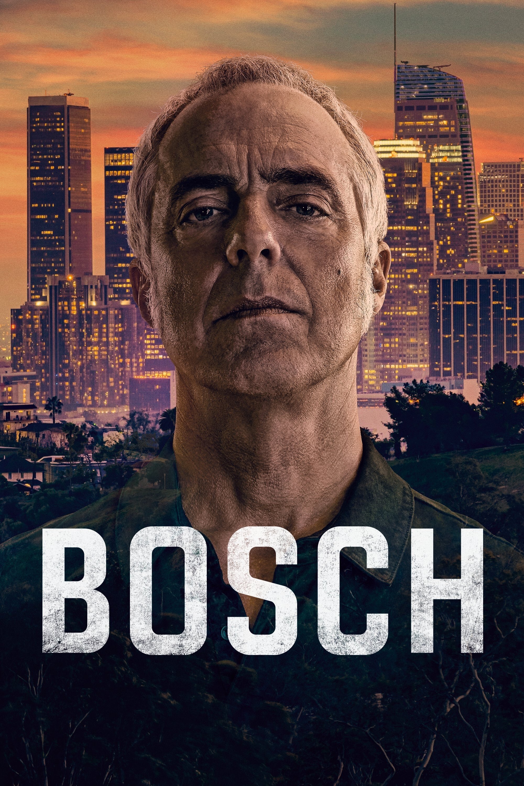 Bosch Dizi afişi