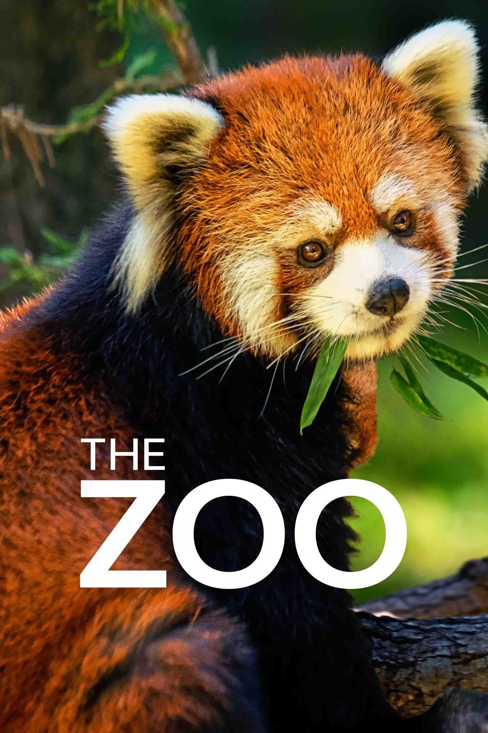 The Zoo Dizi afişi