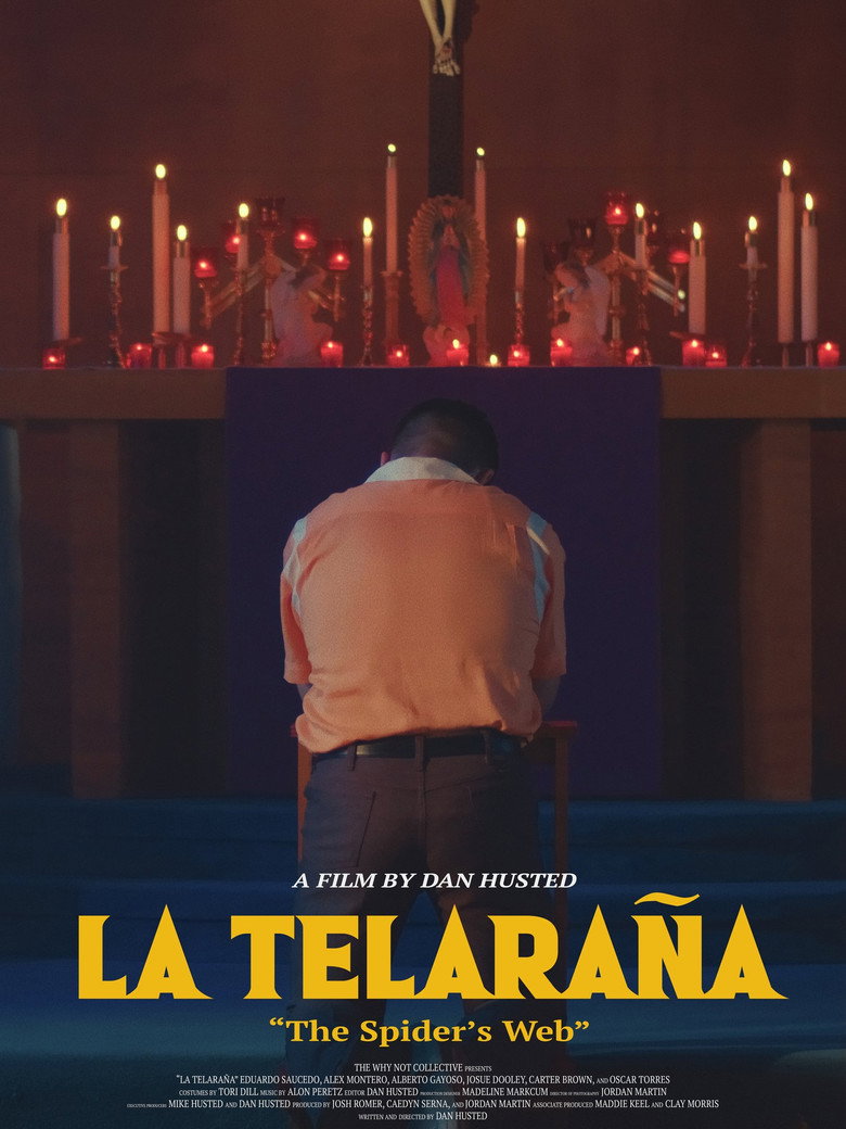 La Telaraña Film afişi