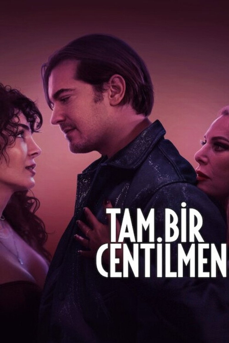 Tam Bir Centilmen Film afişi