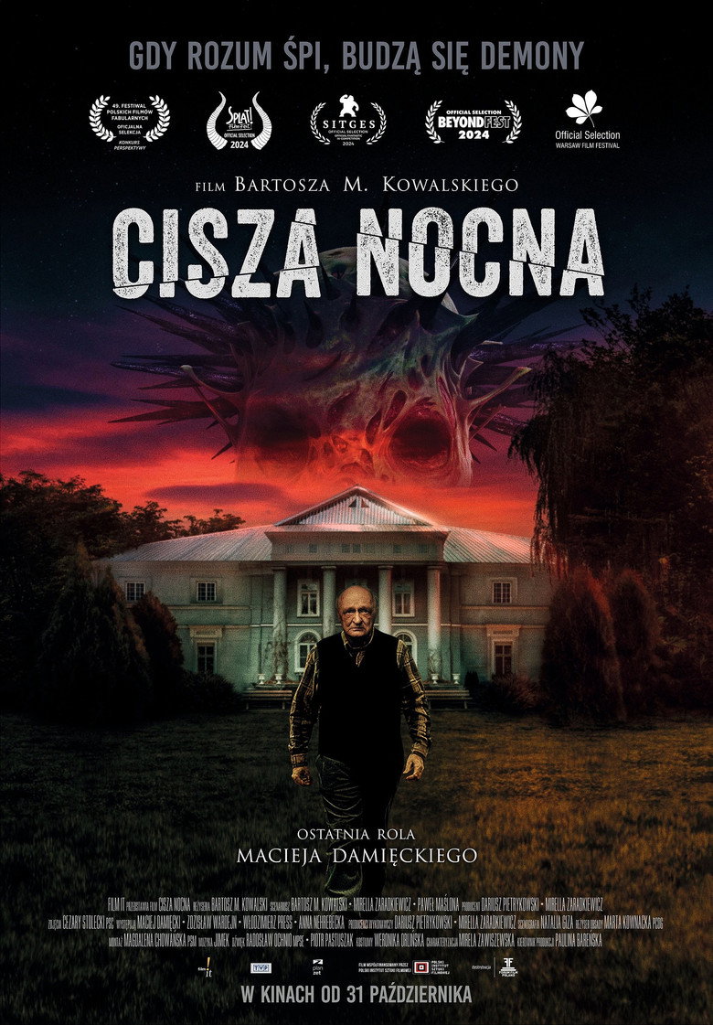 Cisza nocna Film afişi