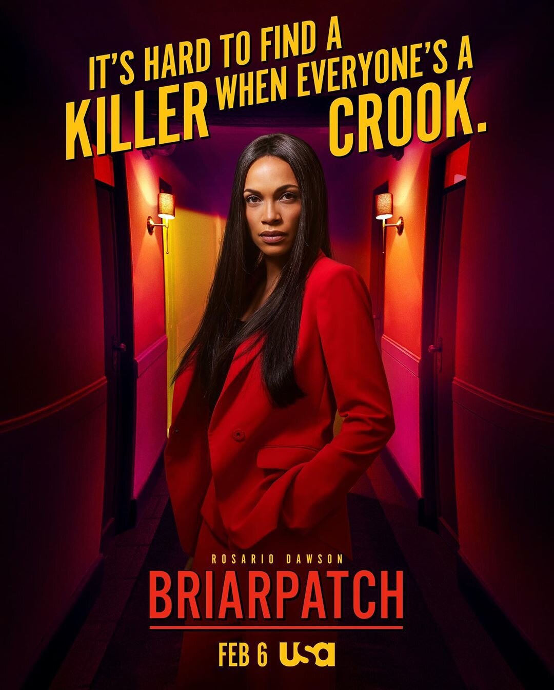 Briarpatch Dizi afişi