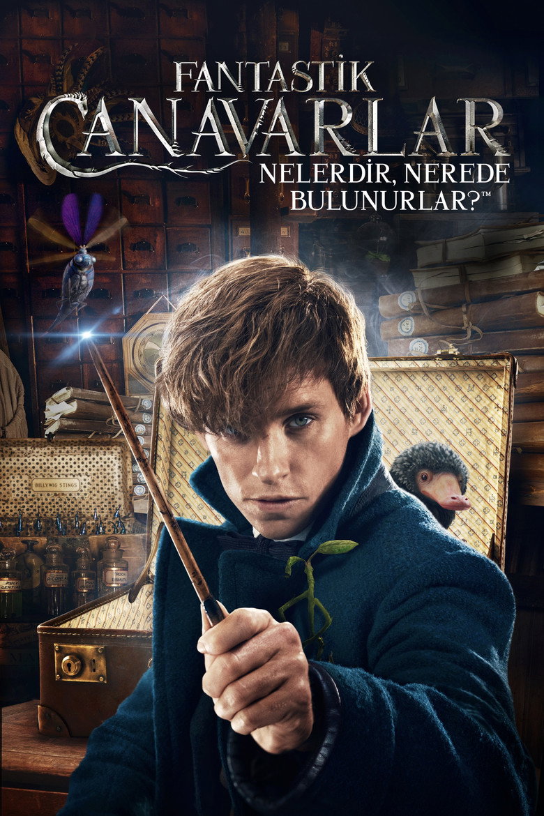 Fantastik Canavarlar Nelerdir, Nerede Bulunurlar? Film afişi