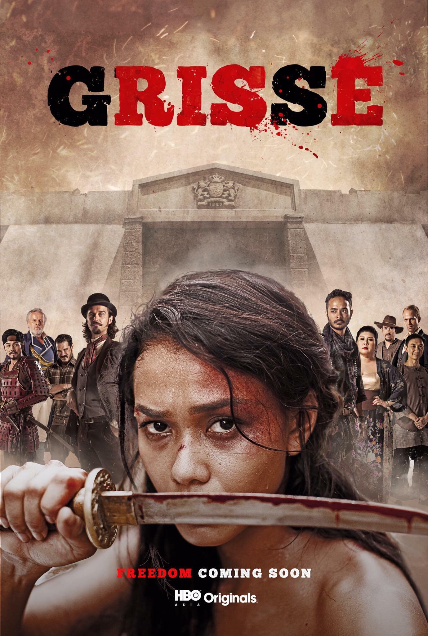 Grisse Dizi afişi