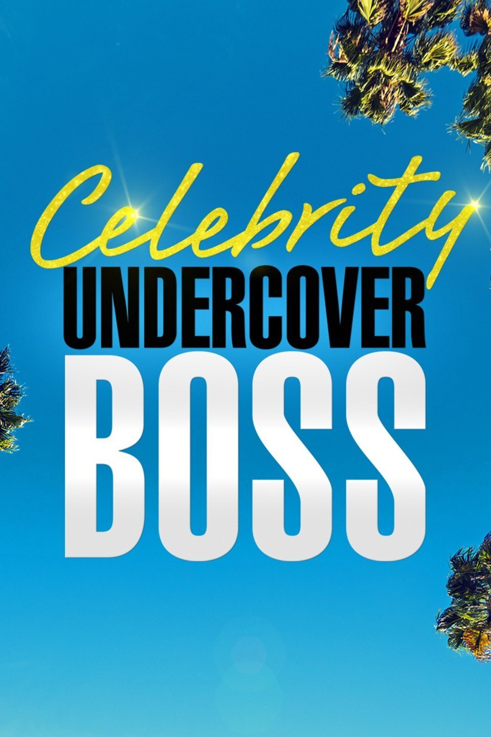 Undercover Boss: Celebrity Edition Dizi afişi