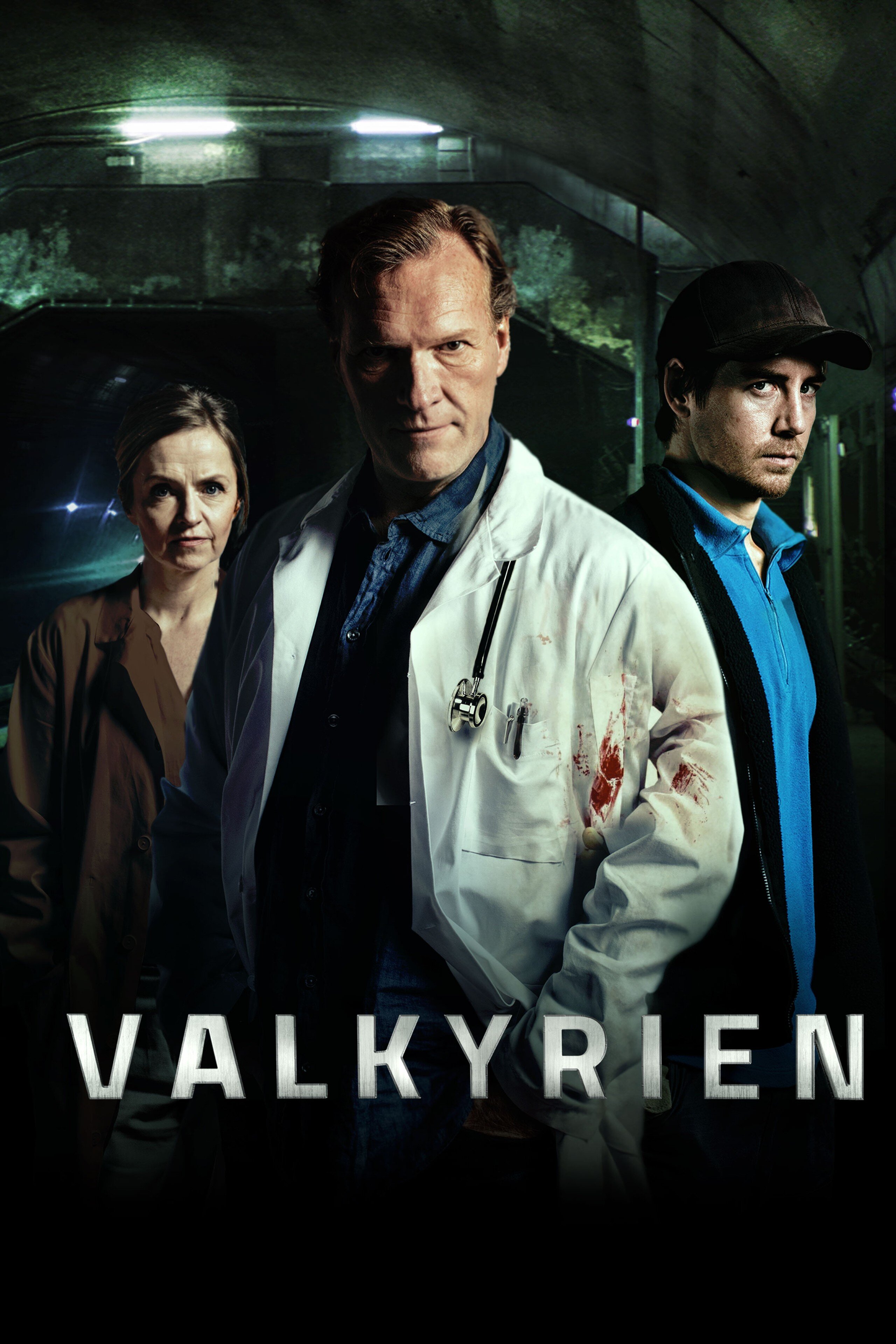 Valkyrien Dizi afişi
