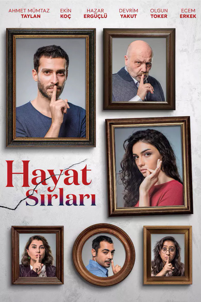 Hayat Sırları Dizi afişi