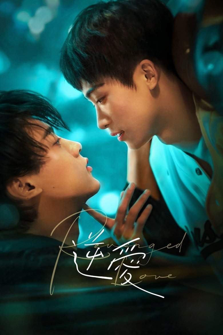 Revenged Love Dizi afişi