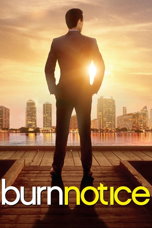 Burn Notice Dizi afişi