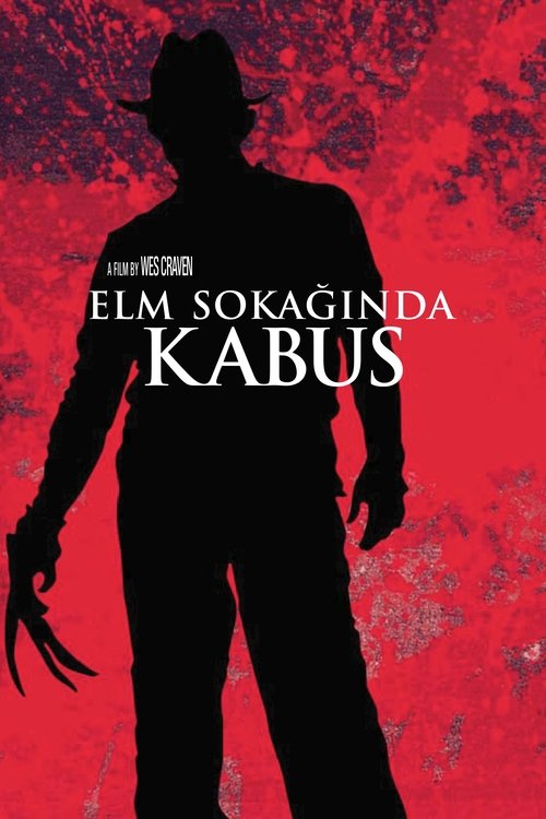 Elm Sokağında Kâbus Film afişi
