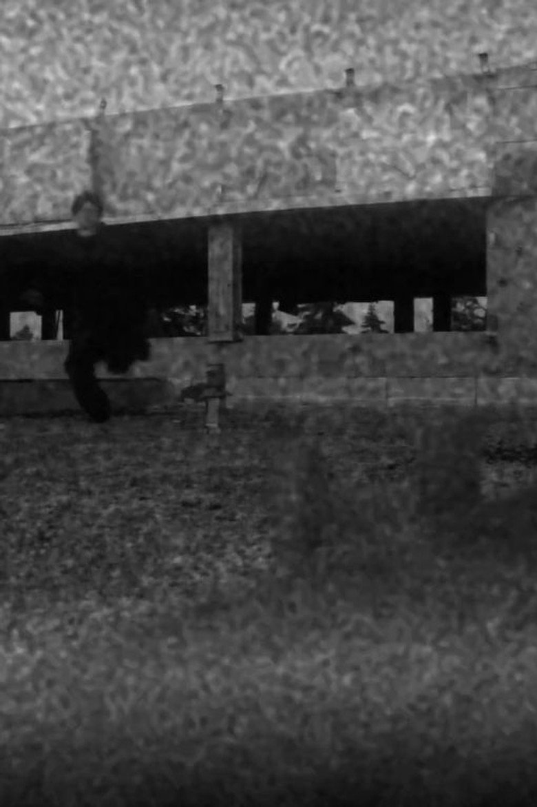 Rouille Film afişi