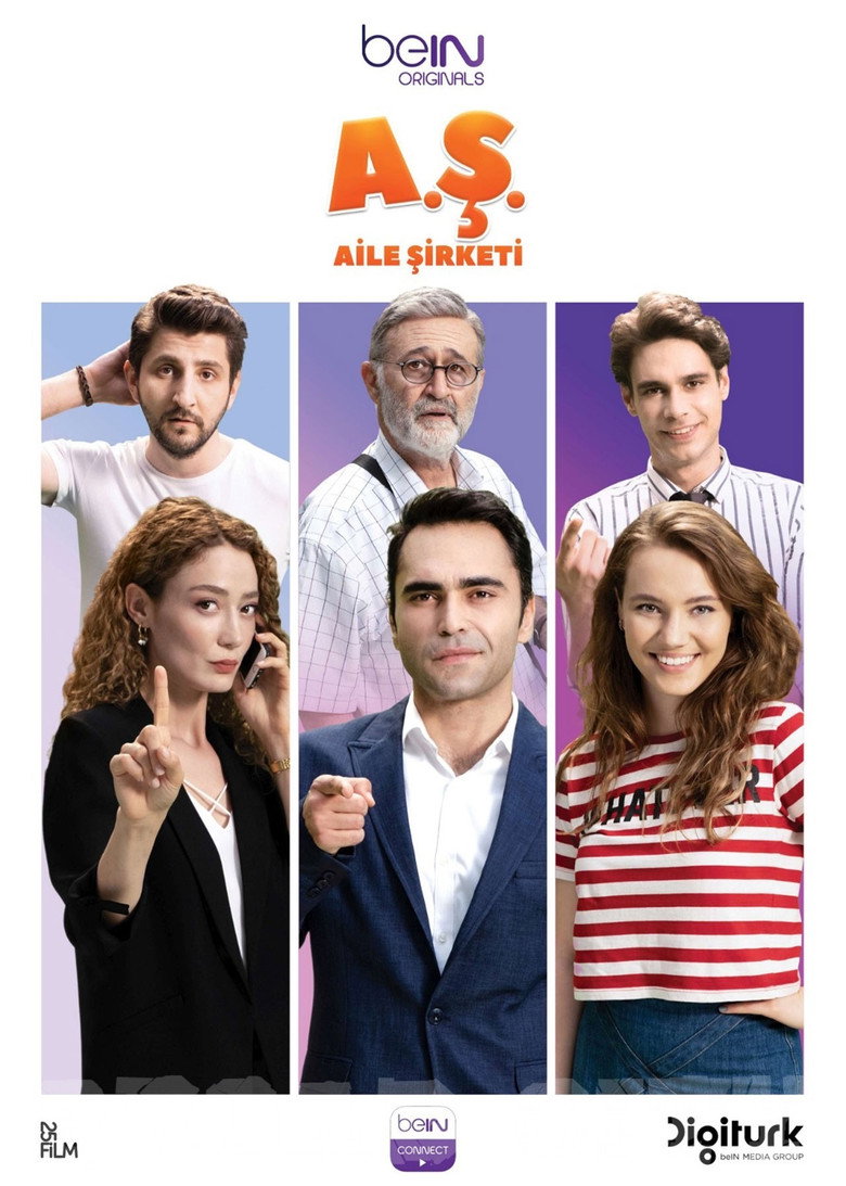 Aile Şirketi Dizi afişi