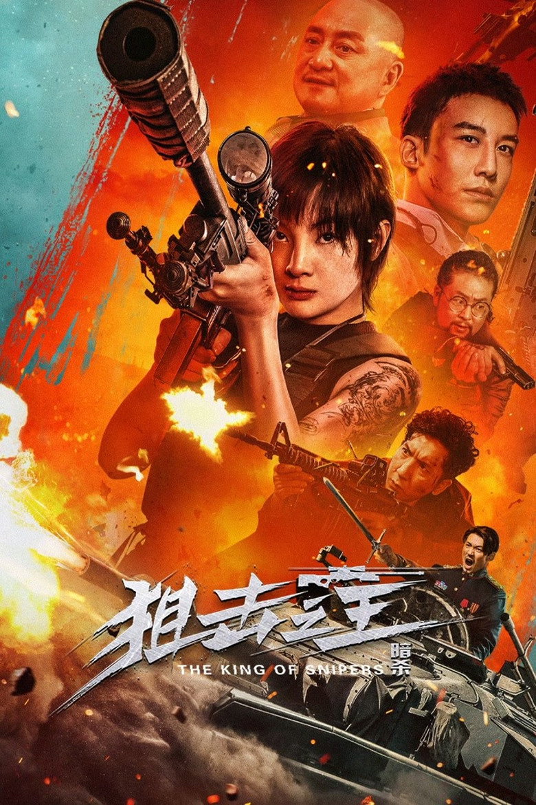 狙击之王：暗杀 Film afişi
