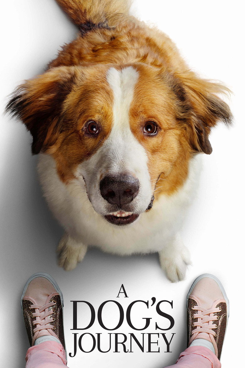 Dostumun Yolculuğu Film afişi
