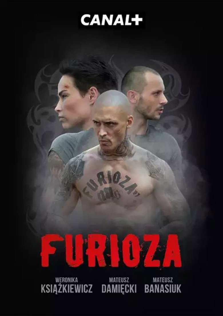 Furioza Dizi afişi