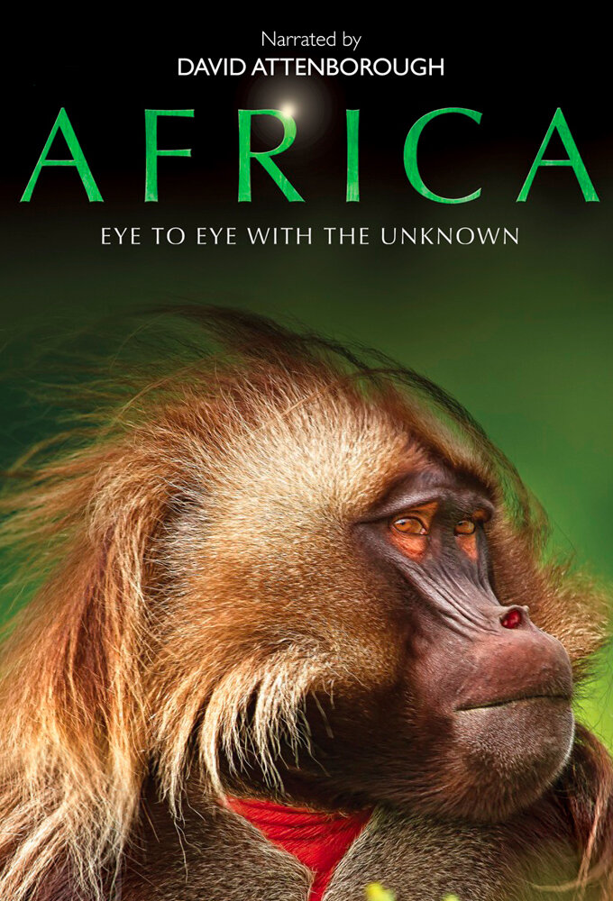Afrika Dizi afişi
