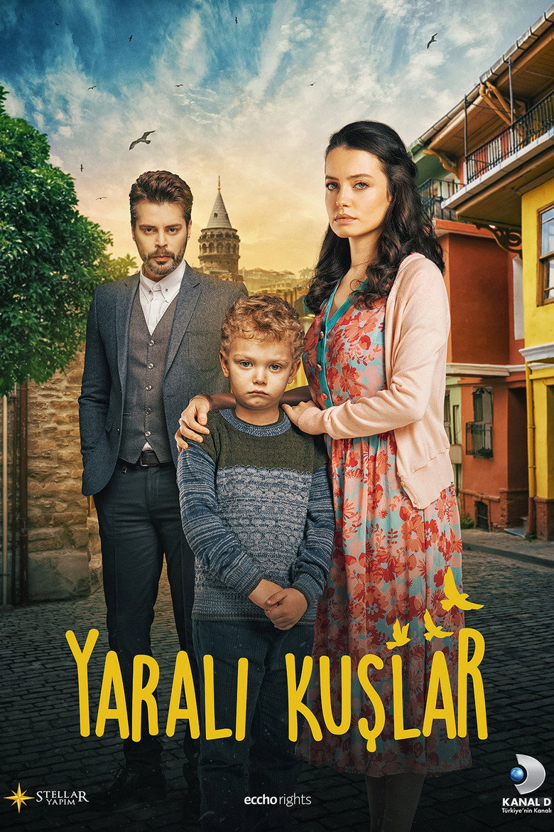 Yaralı Kuşlar Dizi afişi