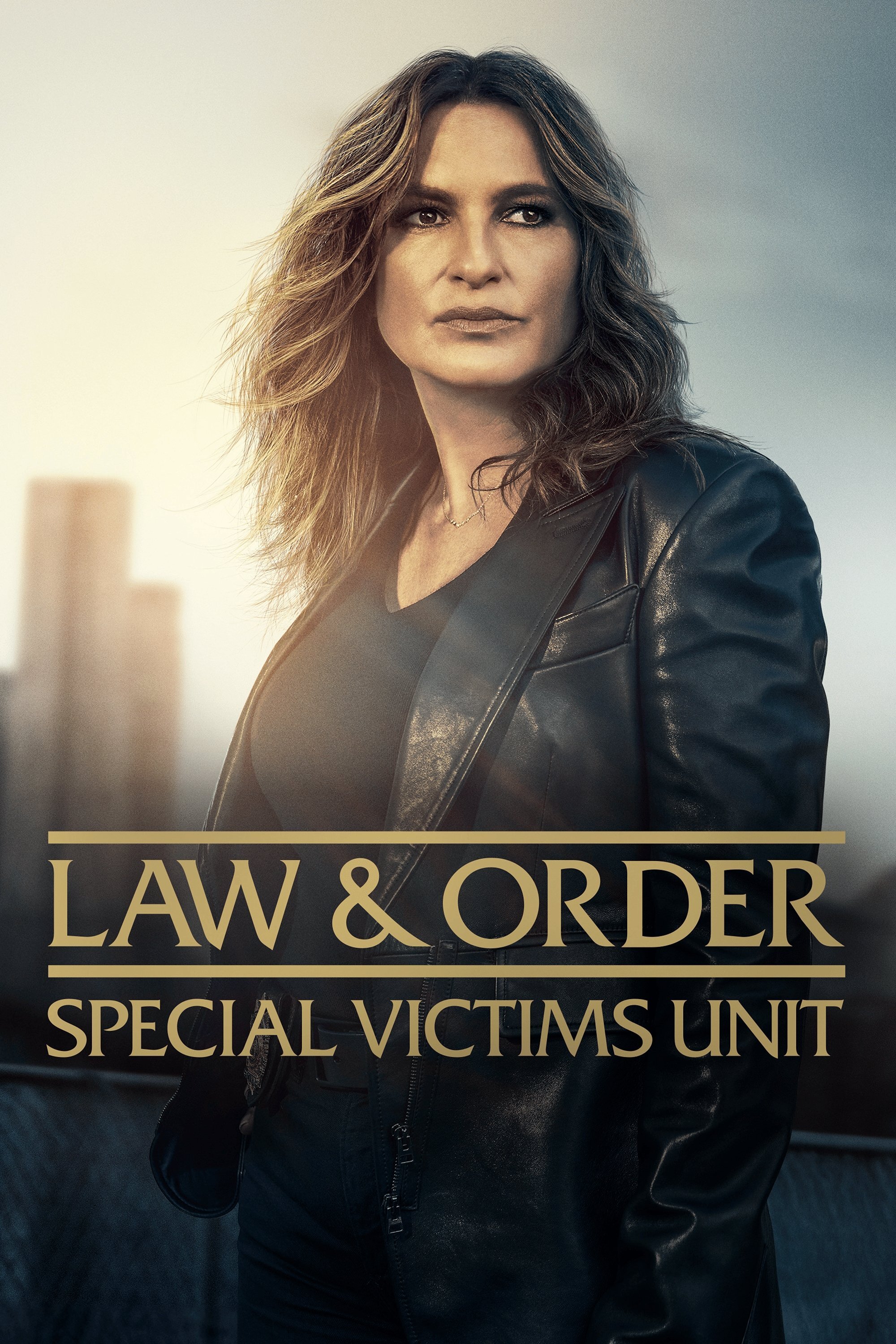 Law & Order: Special Victims Unit Dizi afişi