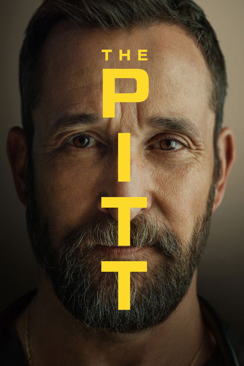 The Pitt Dizi afişi