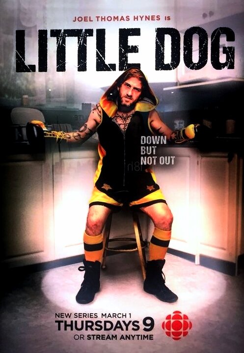 Little Dog Dizi afişi