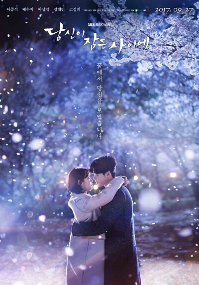 While You Were Sleeping Dizi afişi