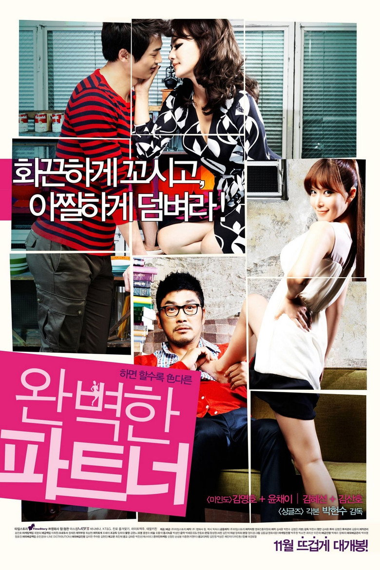 완벽한 파트너 Film afişi