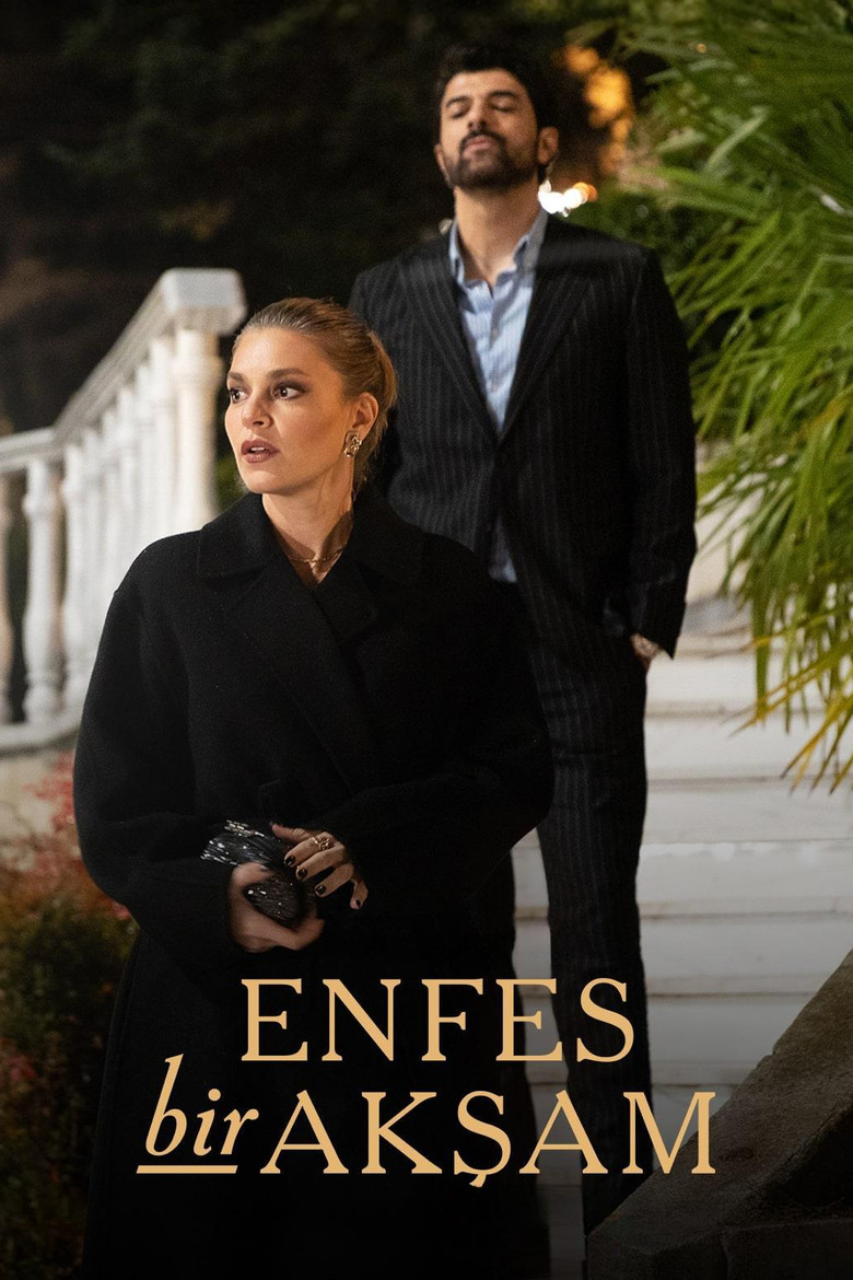 Enfes Bir Akşam Dizi afişi