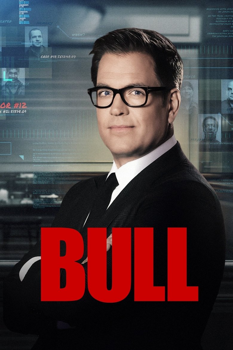 Bull Dizi afişi