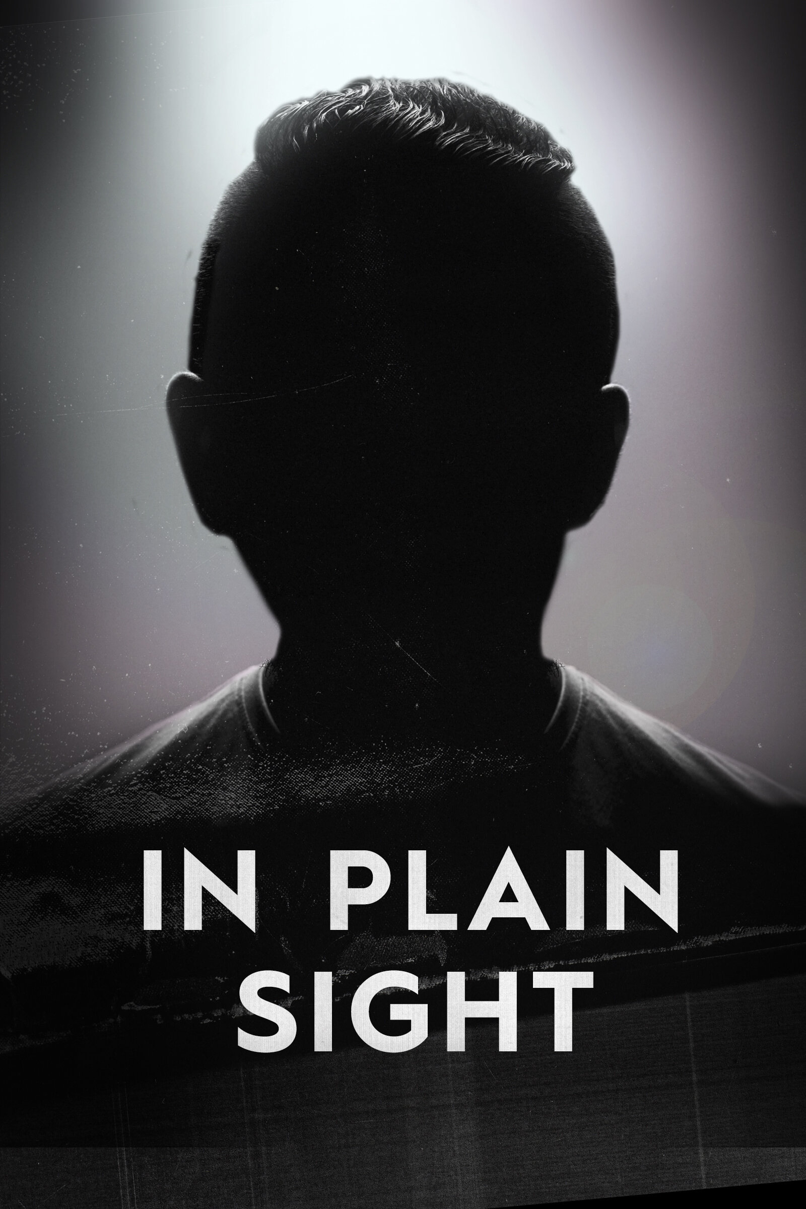 In Plain Sight Dizi afişi