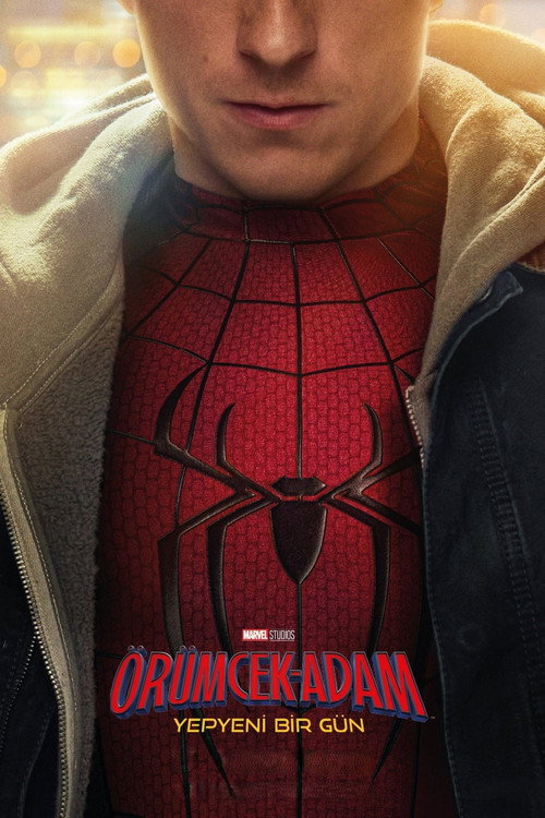 Örümcek-Adam: Yepyeni Bir Gün Film afişi