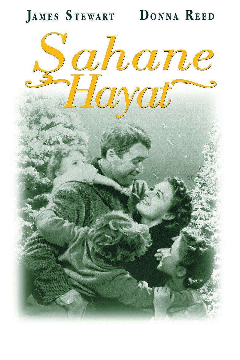 Şahane Hayat Film afişi