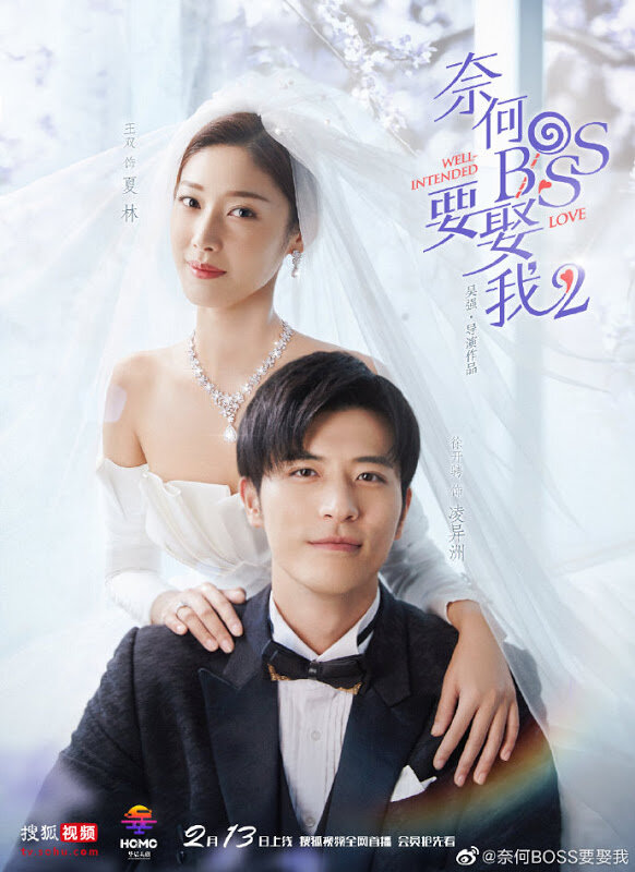 Well-Intended Love Dizi afişi