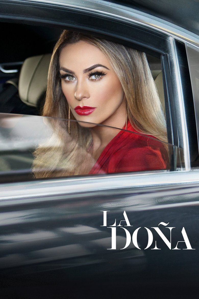 La Doña Dizi afişi