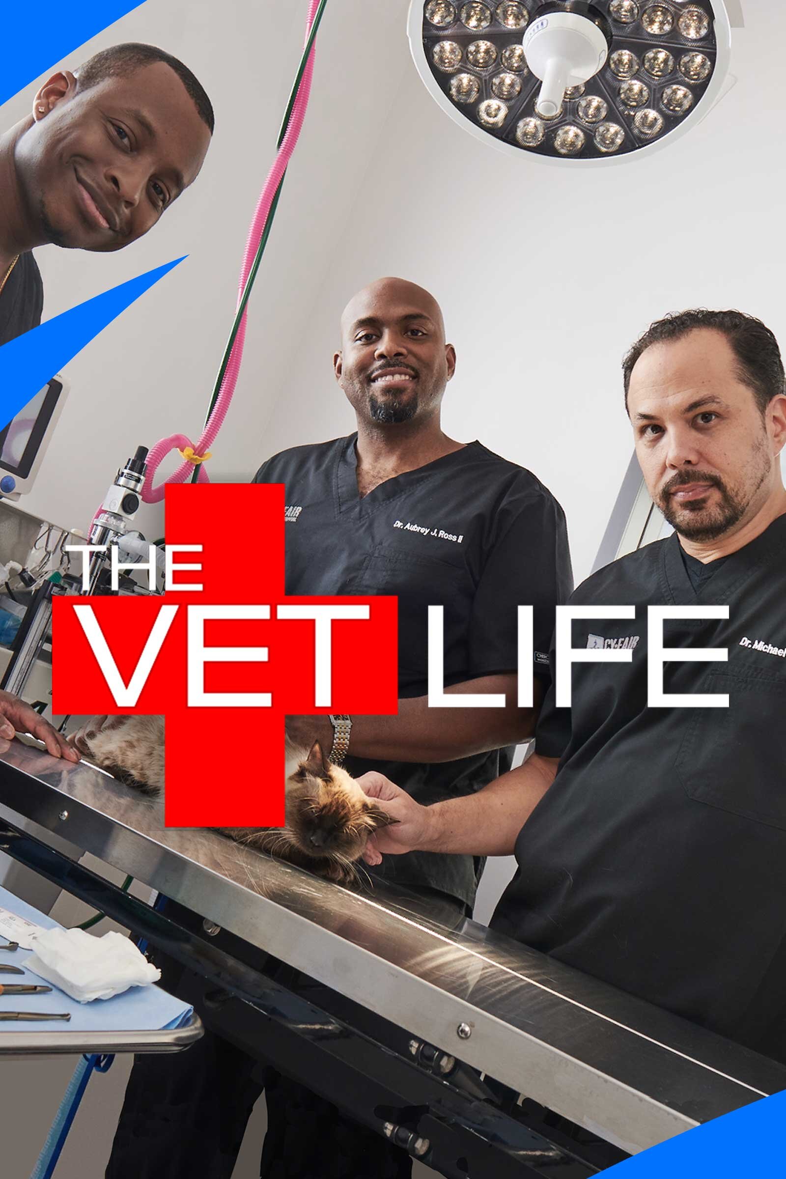 The Vet Life Dizi afişi
