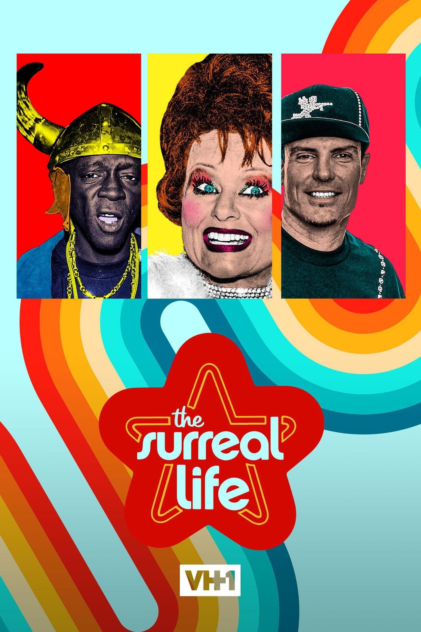 The Surreal Life Dizi afişi